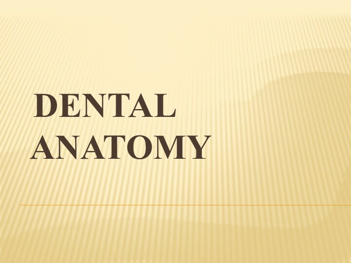 DENTAL ANATOMY