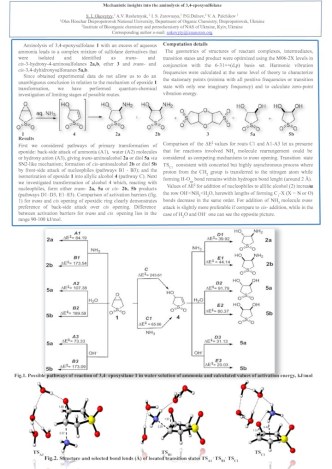 Mechanistic insights into the aminolysis of 3,4-epoxysulfolane