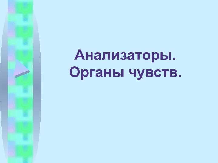 Анализаторы. Органы чувств.