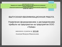 Управление формированием и распределением прибыли на предприятии на предприятии ООО Тойма