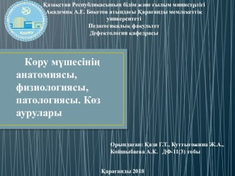 Көру мүшесінің анатомиясы, физиологиясы, патологиясы. Көз аурулары