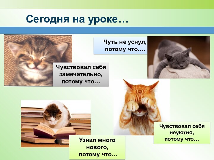 Сегодня на уроке…Чуть не уснул, потому что….Чувствовал себя