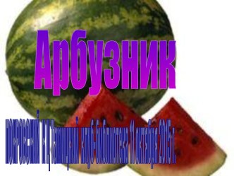 Игровая программа Арбузник