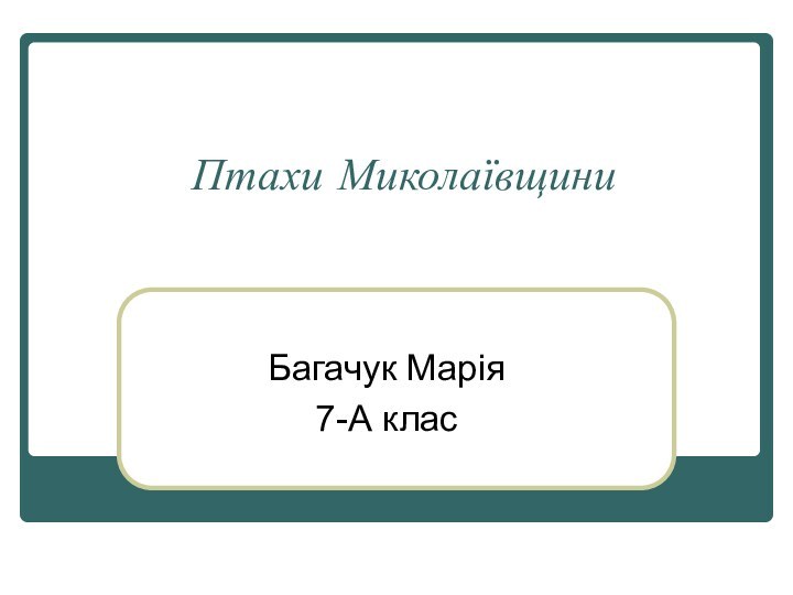 Птахи МиколаївщиниБагачук Марія 7-А клас