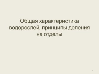 Характеристика водорослей, принципы деления на отделы