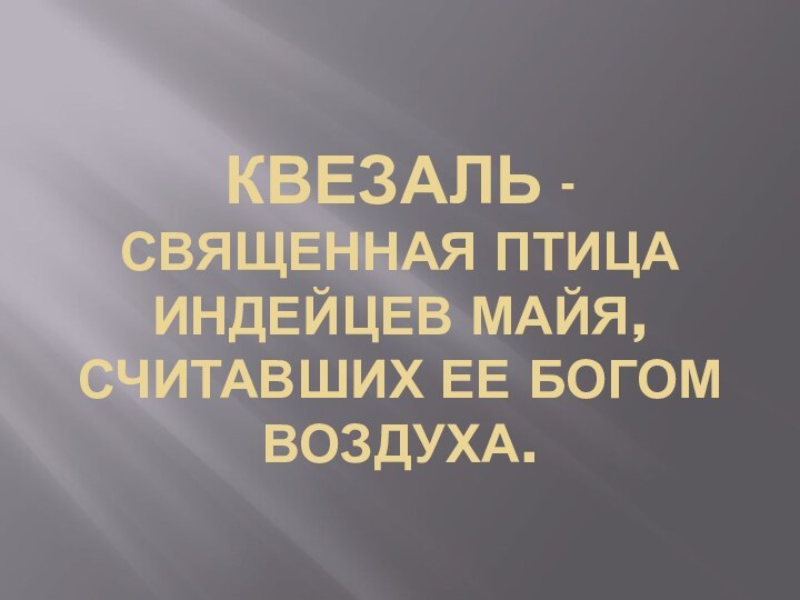 КВЕЗАЛЬ - СВЯЩЕННАЯ ПТИЦА  ИНДЕЙЦЕВ МАЙЯ, СЧИТАВШИХ ЕЕ БОГОМ ВОЗДУХА.