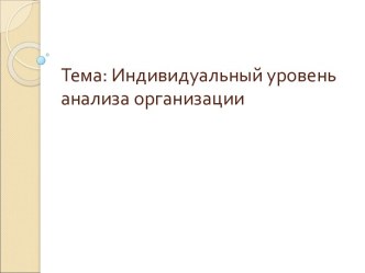 Индивидуальный уровень анализа организации