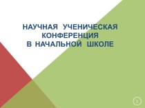 Научная ученическая конференция в начальной школе