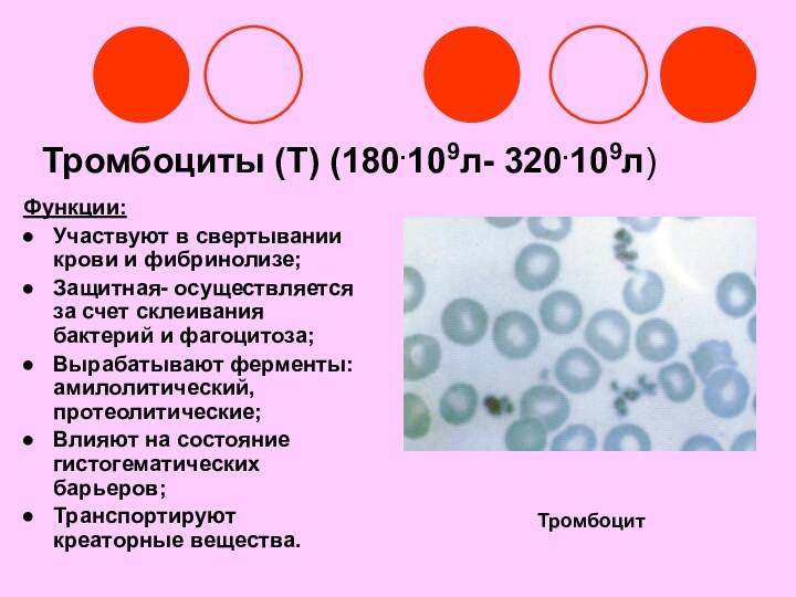 Тромбоциты (Т) (180.109л- 320.109л)Функции:Участвуют в свертывании крови и фибринолизе;Защитная- осуществляется за счет