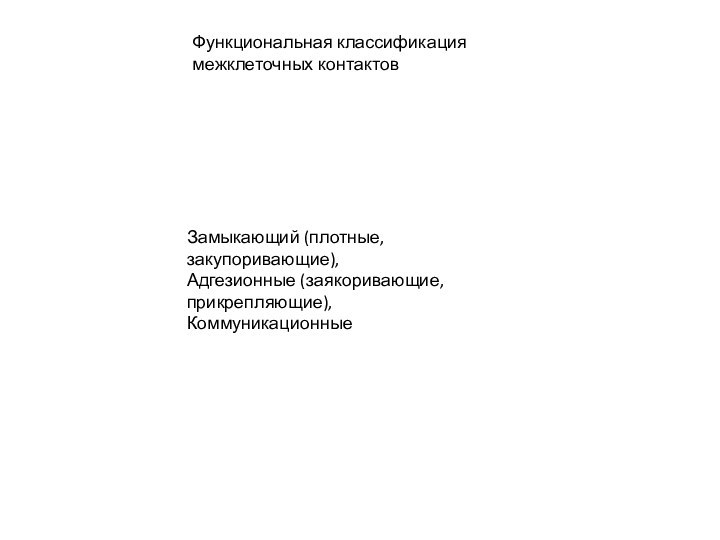 Функциональная классификация межклеточных контактовЗамыкающий (плотные, закупоривающие),Адгезионные (заякоривающие, прикрепляющие),Коммуникационные