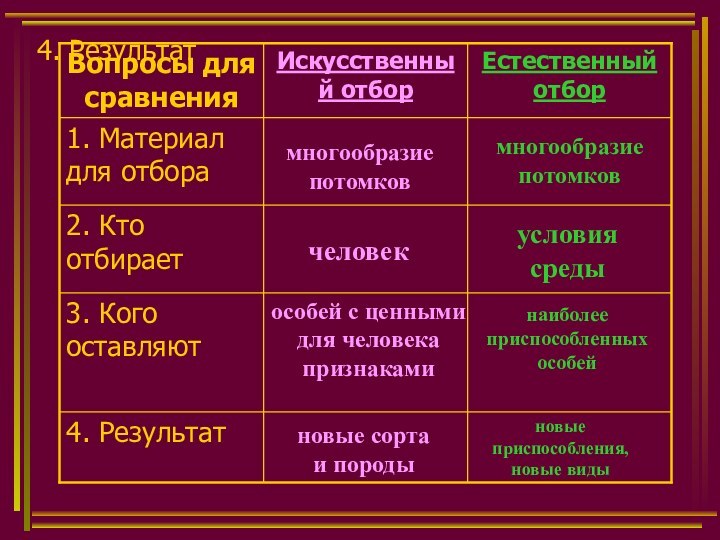 4. Результатмногообразие потомковмногообразие потомковчеловекусловия средынаиболее приспособленных особейособей с ценными для человека признакаминовые