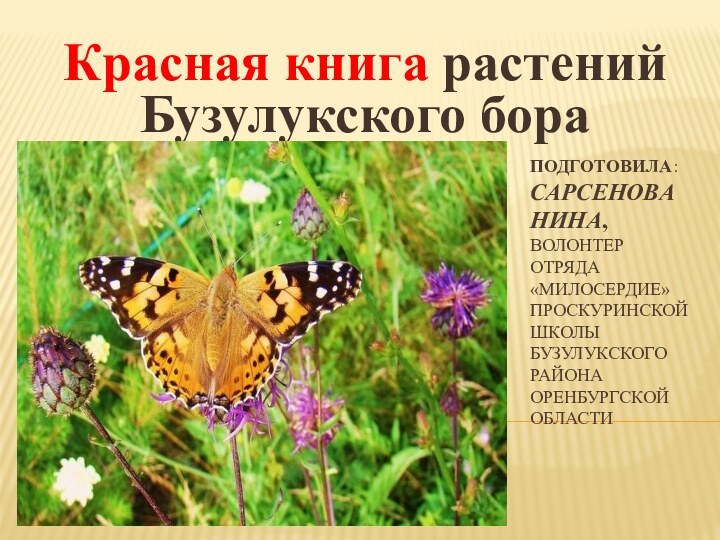 ПОДГОТОВИЛА:  САРСЕНОВА НИНА,  ВОЛОНТЕР ОТРЯДА «МИЛОСЕРДИЕ» ПРОСКУРИНСКОЙ ШКОЛЫ БУЗУЛУКСКОГО РАЙОНА