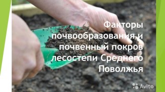 Факторы почвообразования и почвенный покров лесостепи Среднего Поволжья