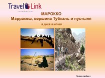 Туристическое агенство Travel Link