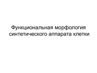 Функциональная морфология синтетического аппарата клетки