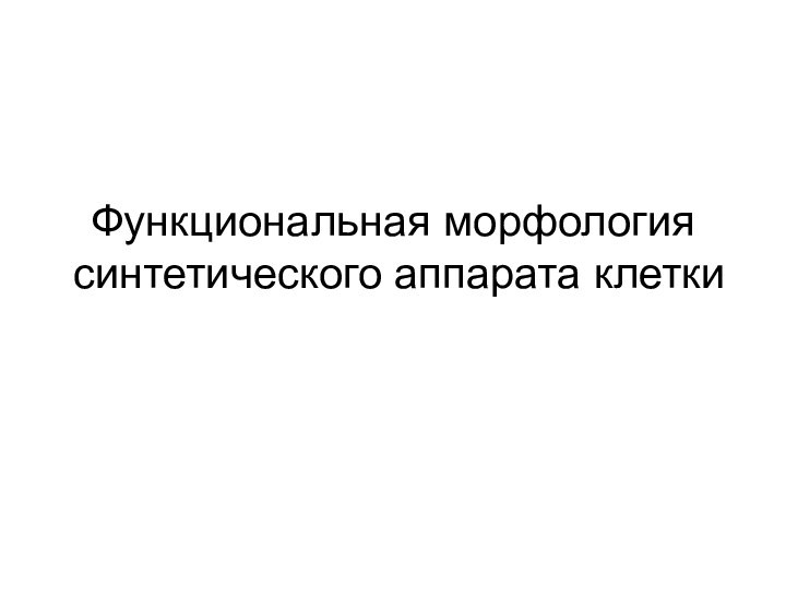 Функциональная морфология синтетического аппарата клетки