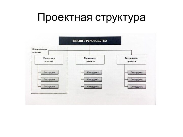 Проектная структура