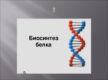 Биосинтез белка