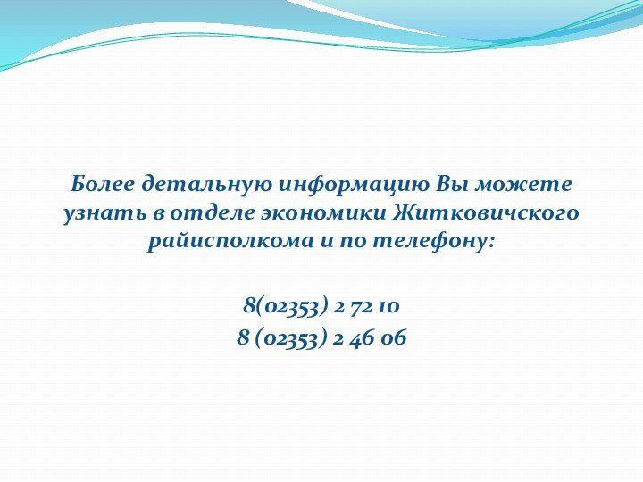 Более детальную информацию Вы можете узнать в отделе экономики Житковичского райисполкома и