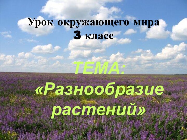 Урок окружающего мира  3 классТЕМА: «Разнообразие растений»