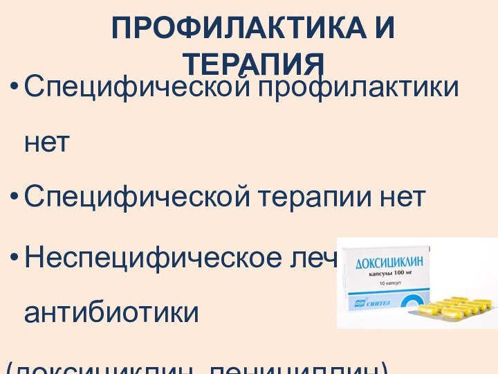 ПРОФИЛАКТИКА И ТЕРАПИЯСпецифической профилактики нетСпецифической терапии нетНеспецифическое лечение: антибиотики(доксициклин, пенициллин)