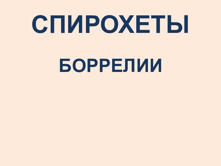 СПИРОХЕТЫБОРРЕЛИИ