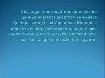 Обследование и картирование ценных участков акватории нижнего Днестра для обеспечения жизнедеятельности рыб