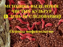 Методика выделения чистых культур (3 день исследования)