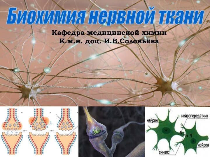 Биохимия нервной ткани Кафедра медицинской химииК.м.н. доц. И.В.Соловьёва