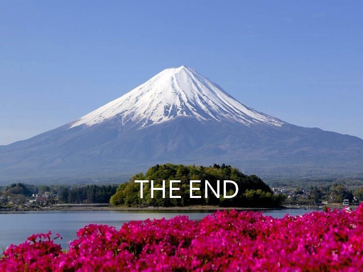 THE END