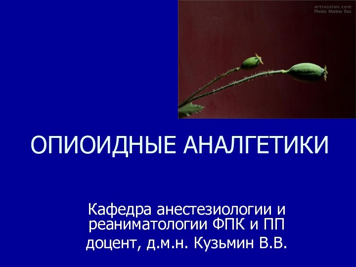 ОПИОИДНЫЕ АНАЛГЕТИКИКафедра анестезиологии и реаниматологии ФПК и ППдоцент, д.м.н. Кузьмин В.В.