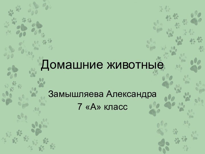 Домашние животныеЗамышляева Александра7 «А» класс