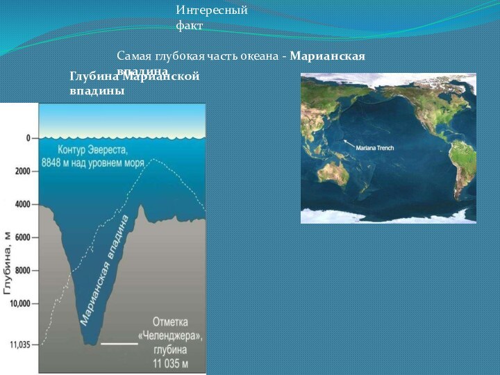 Интересный фактСамая глубокая часть океана - Марианская впадинаГлубина Марианской впадины