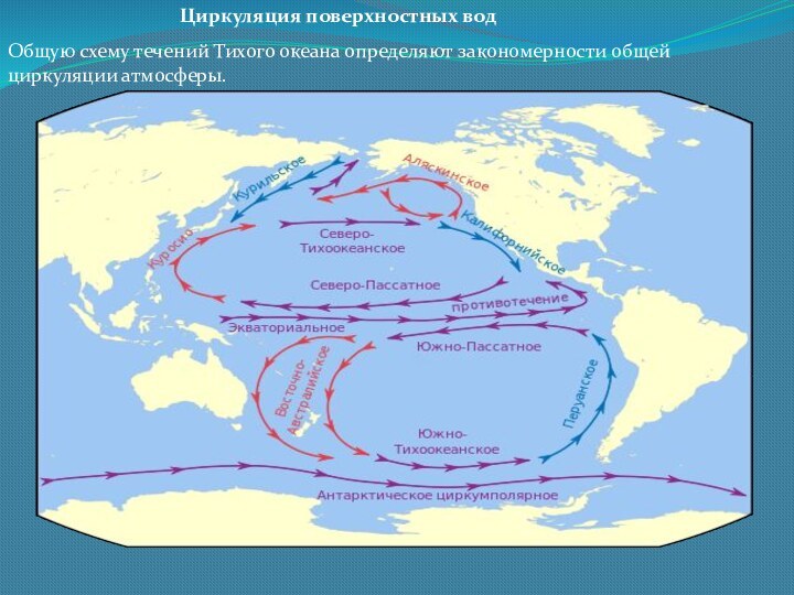 Циркуляция поверхностных водОбщую схему течений Тихого океана определяют закономерности общей циркуляции атмосферы.