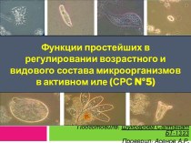 Функции простейших в регулировании возрастного и видового состава микроорганизмов в активном иле