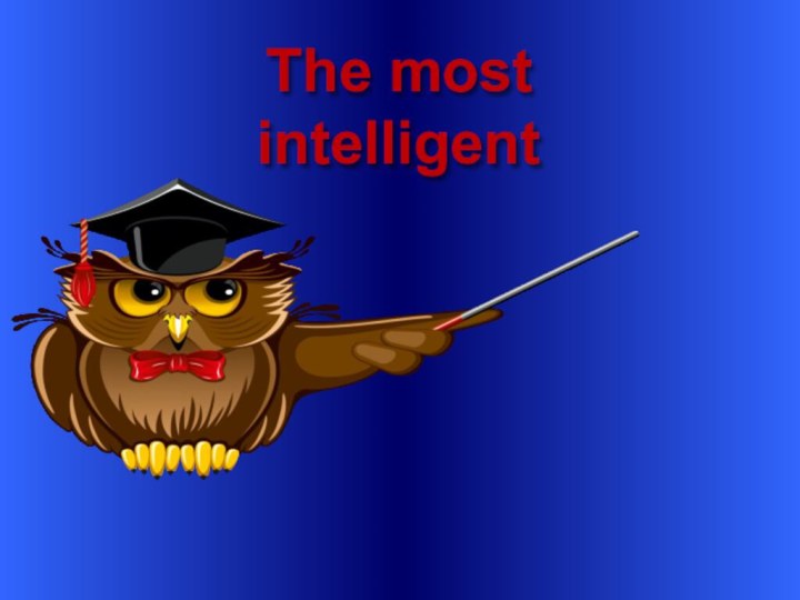 The most intelligent