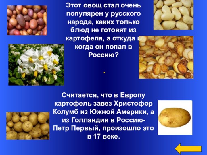 Этот овощ стал очень популярен у русского народа, каких только блюд