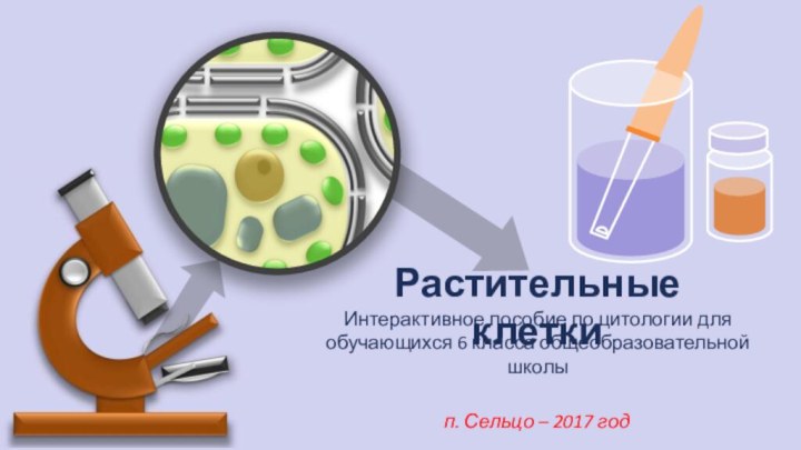 Растительные клеткип. Сельцо – 2017 годИнтерактивное пособие по цитологии для обучающихся 6 класса общеобразовательной школы