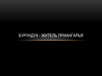 Презентация по байкаловедению Бурундук - житель Приангарья ( 8 класс)