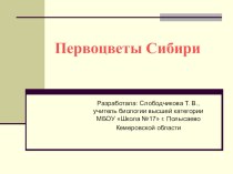 Презентация по биологии на тему Первоцветы Сибири (5 класс)