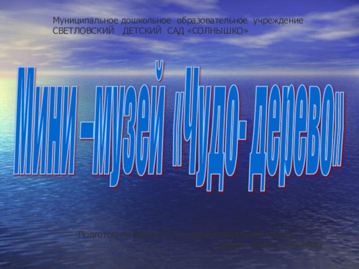 Мини –музей «Чудо- дерево» Муниципальное дошкольное образовательное учреждениеСВЕТЛОВСКИЙ  ДЕТСКИЙ САД «СОЛНЫШКО»Подготовила