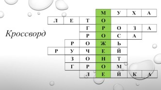 Презентация по окружающему миру на тему Где живут белые медведи (1 класс)