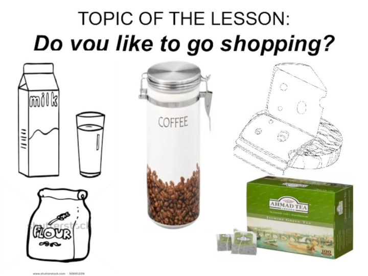 TOPIC OF THE LESSON: Do you like to go shopping?