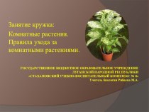 Презентация к занятию кружка биолого-экологического направления Комнатные растения. Правила ухода за комнатными растениями..