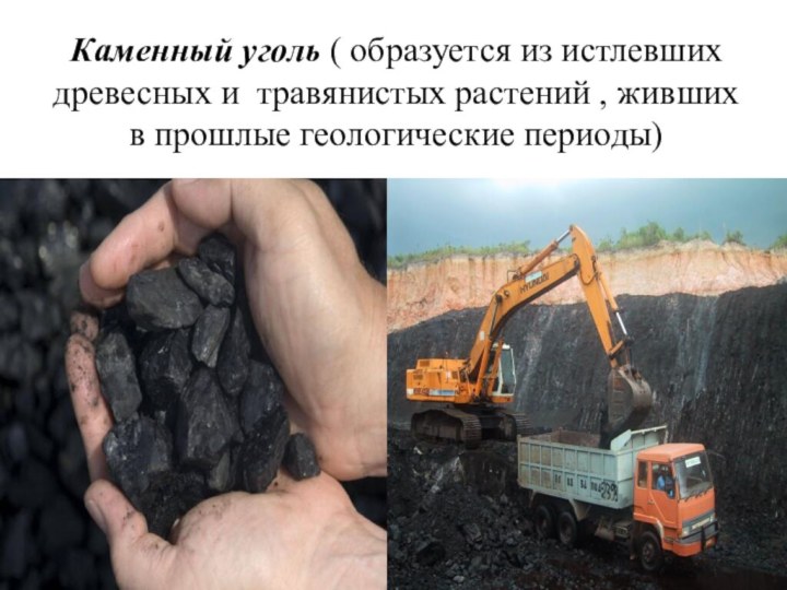 Каменный уголь ( образуется из истлевшихдревесных и травянистых растений , живших в прошлые геологические периоды)