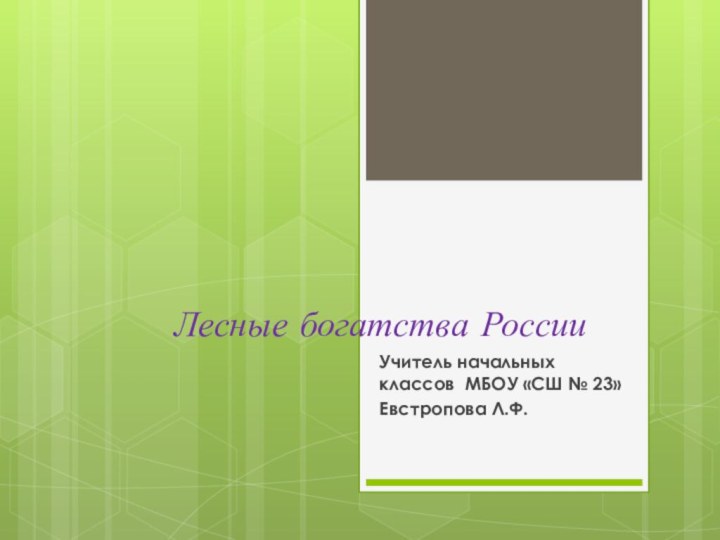 Лесные богатства РоссииУчитель начальных классов МБОУ «СШ № 23»Евстропова Л.Ф.