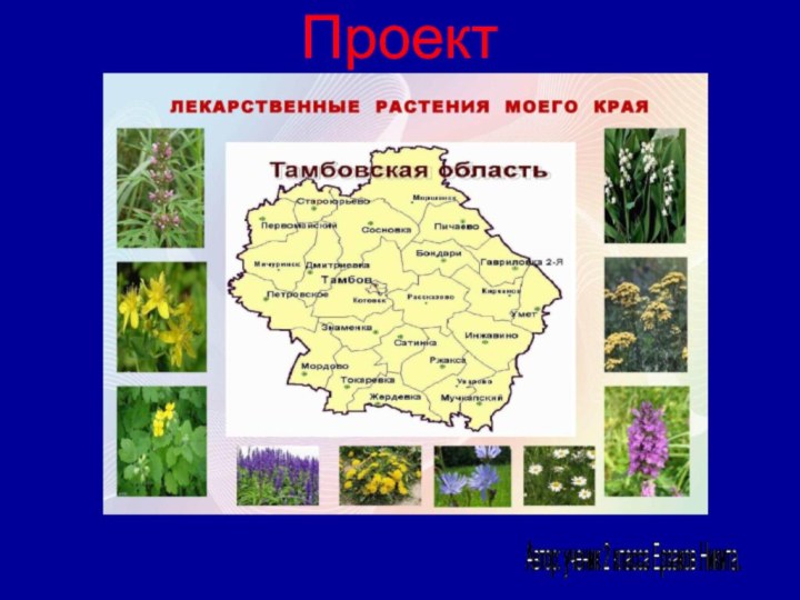 Проект Автор: ученик 2 класса Ерзаков Никита.