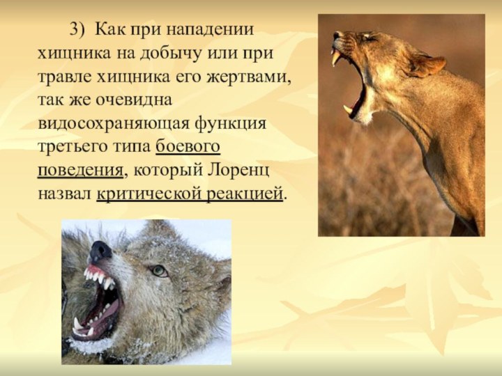 3) Как при нападении хищника на добычу или при травле хищника
