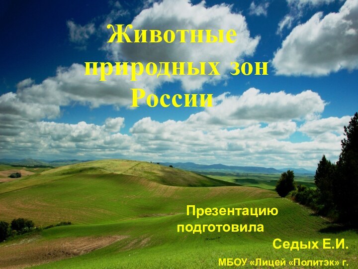 Животные природных зон России  Презентацию подготовилаСедых Е.И. МБОУ «Лицей «Политэк» г.Волгодонска