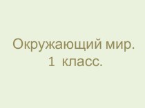 Презентация по окружающему миру на тему Собака в нашем доме  (1 класс)